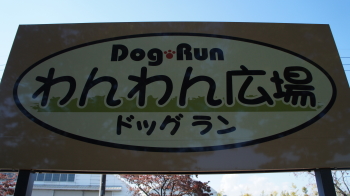 いいところ。なはず。