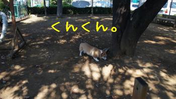 ちぇっく