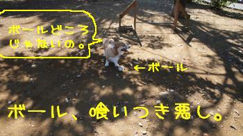 だめですか。