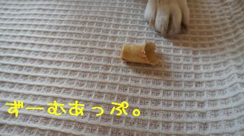 これわ・・・