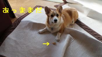 マットぐちゃぐちゃ
