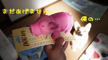 控えててもらおうね