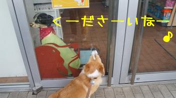 お店大好き