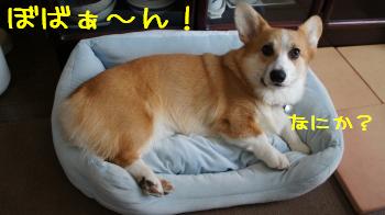 現在