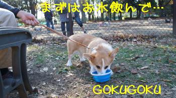 走る準備