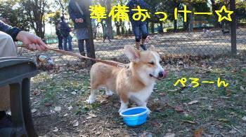 おーけーですか?