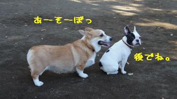 けっこうです。