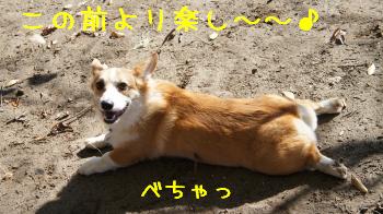この前よりたのしー♪