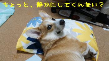 静かにしてください