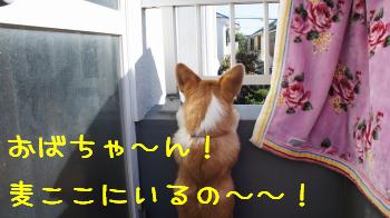おばちゃ~ん