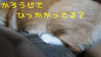 左足