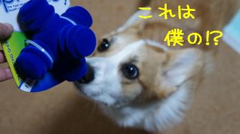 これはっ!?