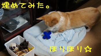 ベッドに埋めてみる
