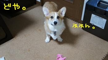 どや顔。