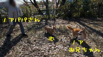 お兄ちゃん♪
