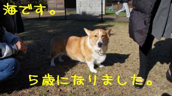 海くん5歳。