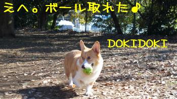 海くんボールげっと
