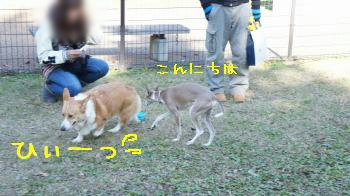 逃げる海くん