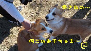 うざっ