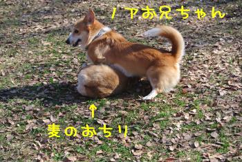 こぎぷろ