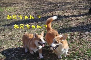 ノア&麦