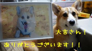 ぼくなの。