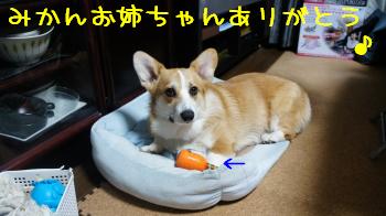 得意げ