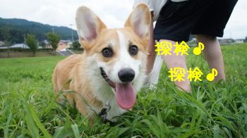 ⑤るんるん♪