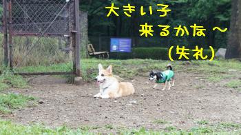 ④大きい子待ち
