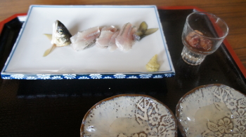 ⑧初!鮎刺身