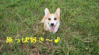 ⑦楽しいっす
