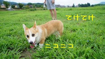 ⑥原っぱ堪能
