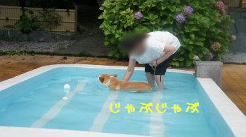 ⑮初めてのプール