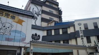 ⑪きぬがわ国際ホテル