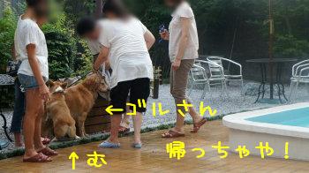 ⑬遊ぼう!
