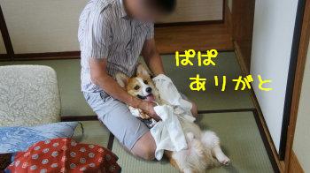 ⑱ぱぱありがと