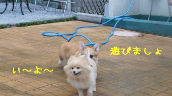 ⑰ご挨拶