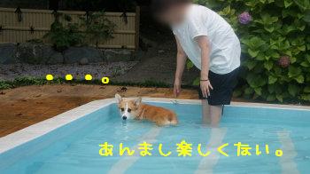 ⑯乗り気じゃない