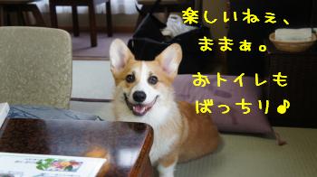 ②えへへ。