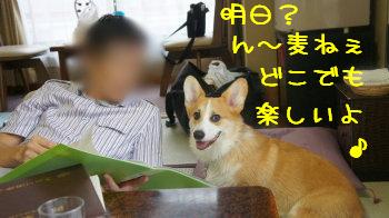 ①明日はどうする?