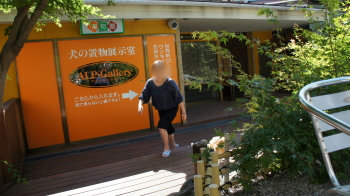 ⑩犬の置物展示室