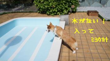 ⑧水がない