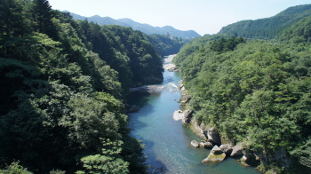 ⑭大橋からの風景