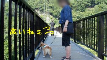 ⑬高いねぇ