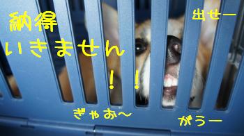 ⑰出せ~~!