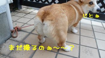 嫌なの?