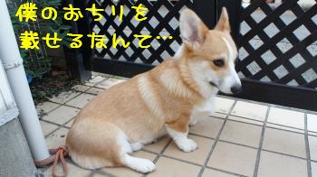 せくはらですか?