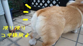 麦っちり♪