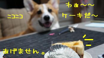 あげませんよ。