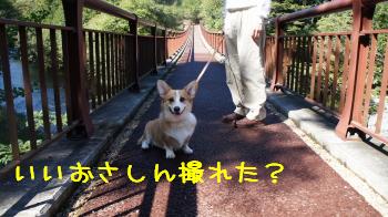 いいおさしん撮れた?